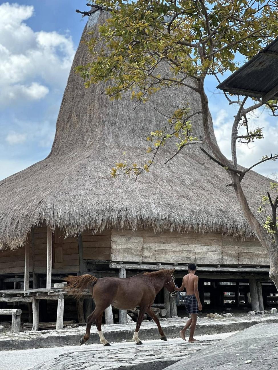 Traditional peaked-roof house, Sumba